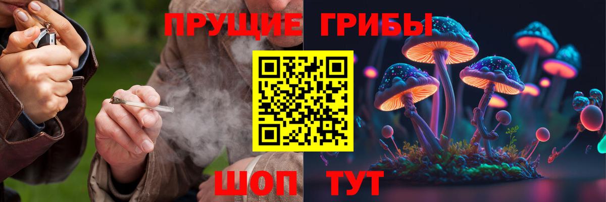 Псилоцибиновые грибы Magic Shrooms  Вход с VPN  Каменск-Шахтинский 